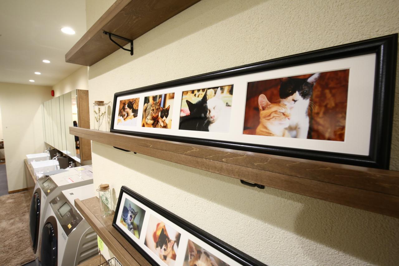 Yagura Hostel Fukuoka  Luaran gambar