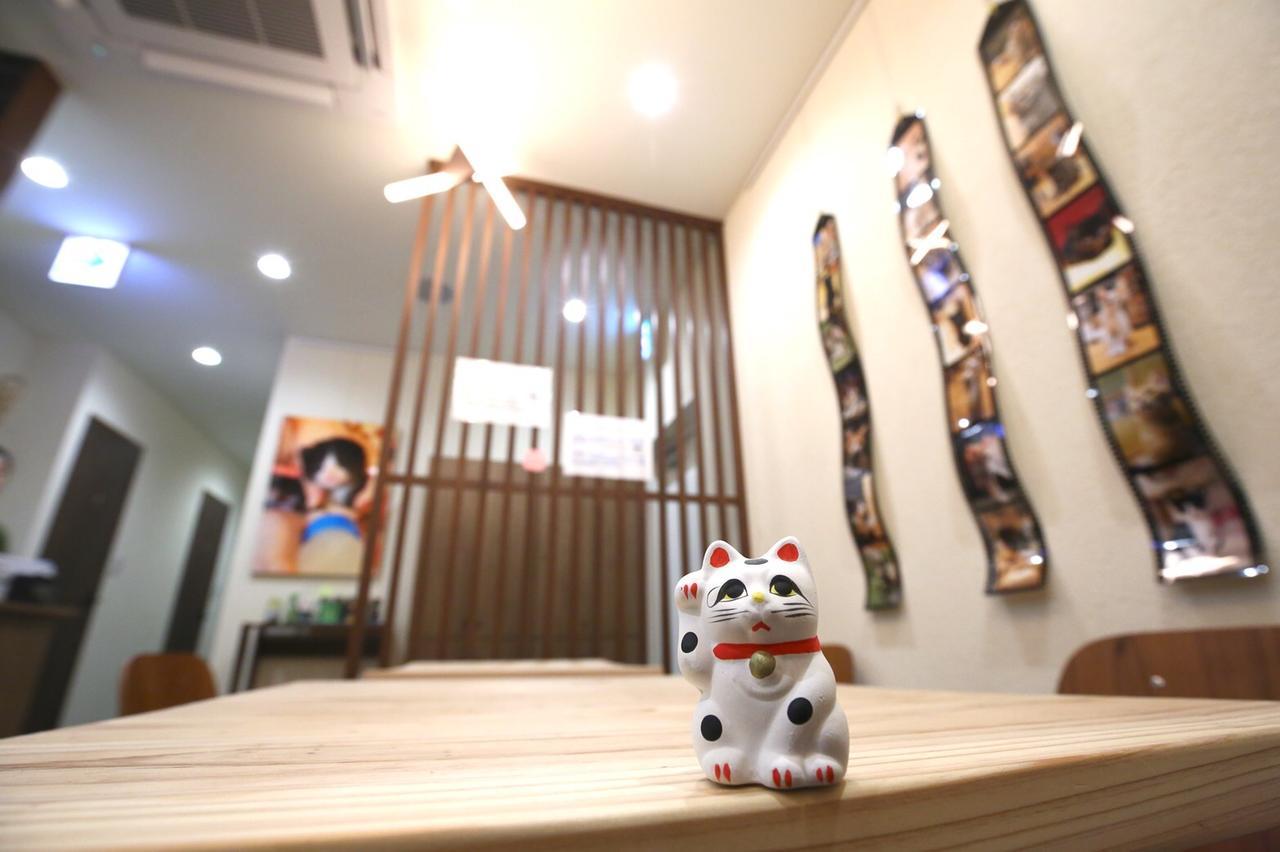 Yagura Hostel Fukuoka  Luaran gambar
