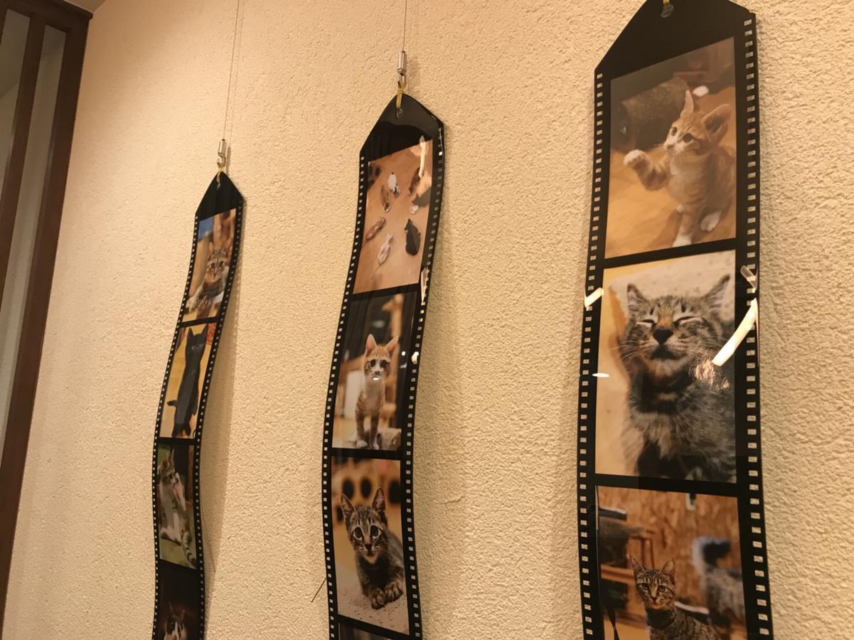 Yagura Hostel Fukuoka  Luaran gambar