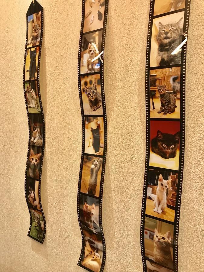 Yagura Hostel Fukuoka  Luaran gambar